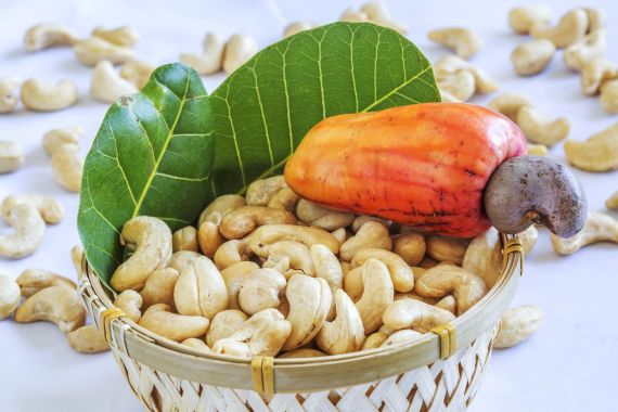 The benefits from cashew nuts to health you need to know